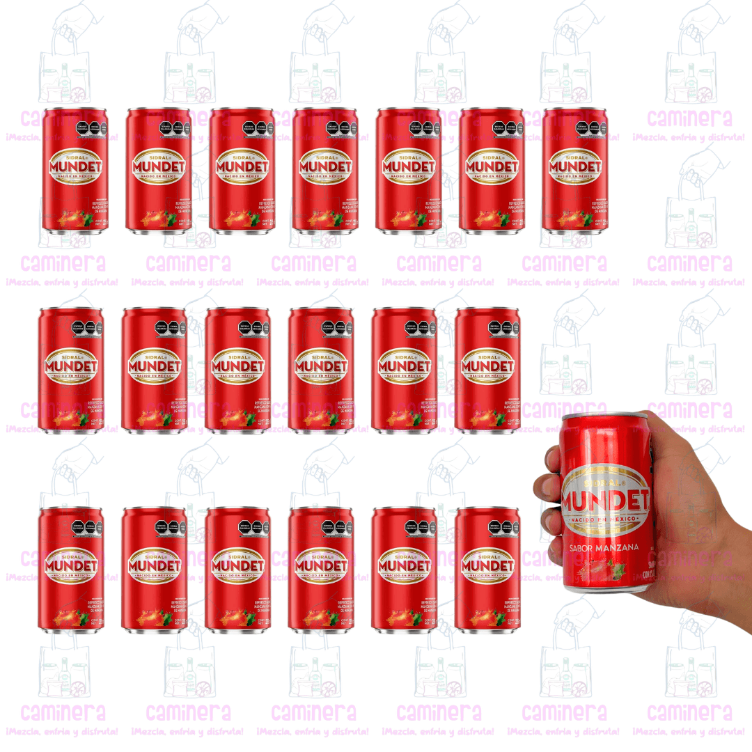 (20 Piezas) Sidral Mundet 235ml