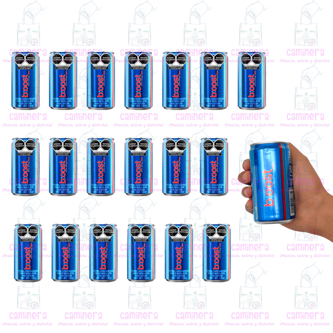 (20 Piezas) Boost 235ml