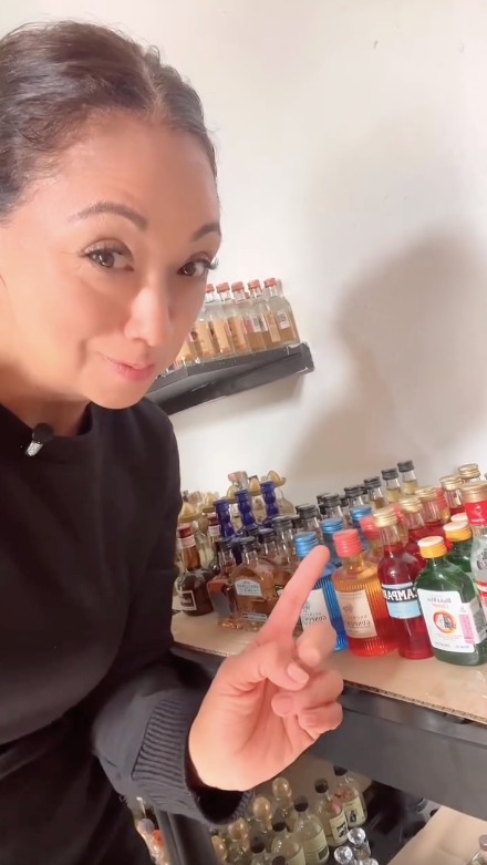 Conoce toda nuestra camineras miniatura